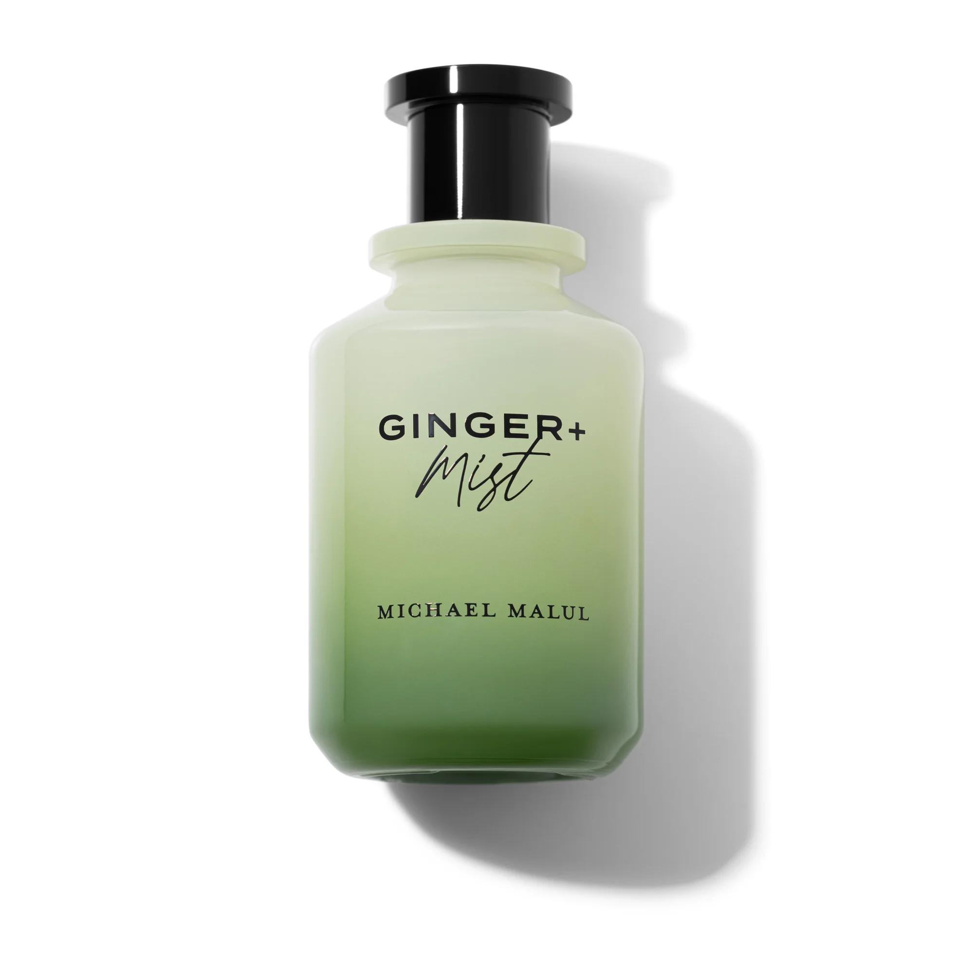Michael Malul Ginger+Mist (Preorder)